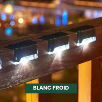 Blanc froid